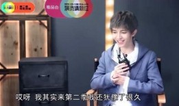 王俊凯爆料自己视频下载,揭秘明星隐私保护之道